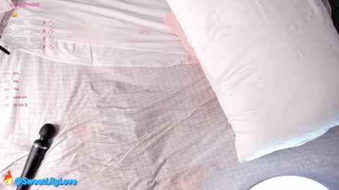 Snapshot of olsenspring chatting on 02-27-25, 09:11 Lily dont forget to follow me good to see you all online show from 02-27-25, 09:11