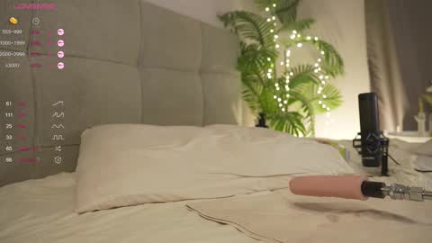 Snapshot of olsenspring chatting on 03-01-25, 06:21 Lily dont forget to follow me good to see you all online show from 03-01-25, 06:21