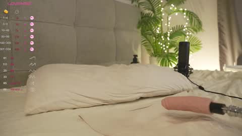 Snapshot of olsenspring chatting on 03-12-25, 07:28 Lily dont forget to follow me good to see you all online show from 03-12-25, 07:28