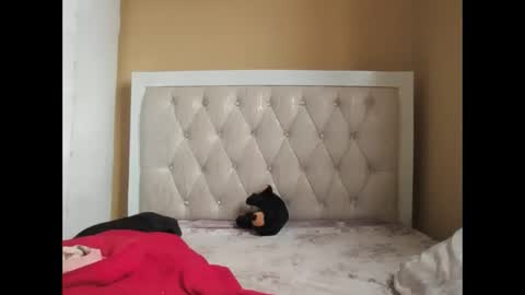 Snapshot of olwami4 chatting on 02-22-26, 06:57 olwami4 online show from 02-22-26, 06:57