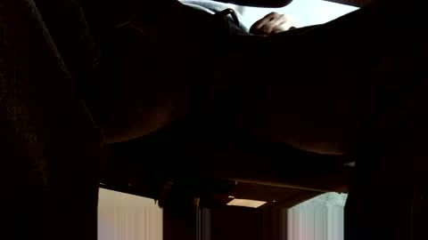 oneeyesnake1843142 online show from 10-19-25, 06:25