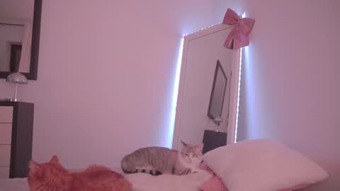 Snapshot of onelittlemermaid chatting on 02-17-26, 10:27 Ariel online show from 02-17-26, 10:27