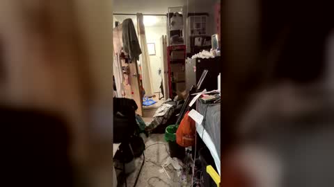 TsJojo online show from 02-06-26, 11:24