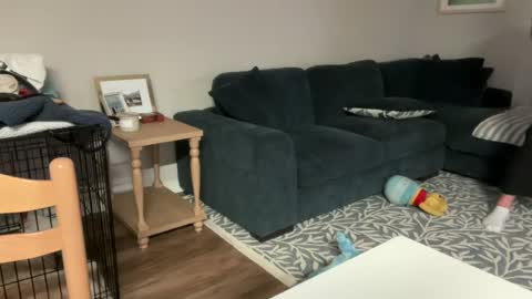 Horny and Bicurious online show from 04-28-26, 04:17