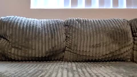 Snapshot of or2jrz chatting on 11-18-25, 05:17 or2jrz online show from 11-18-25, 05:17