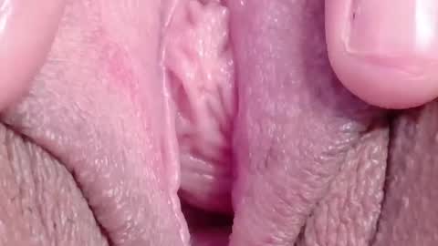 orchidekitty online show from 03-18-26, 09:18