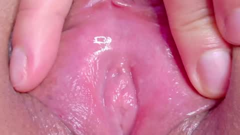 orchidekitty online show from 05-02-26, 11:10