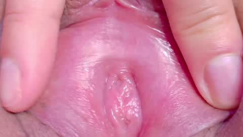 orchidekitty online show from 05-03-26, 10:05