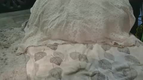 originalcali95 online show from 03-15-26, 12:38