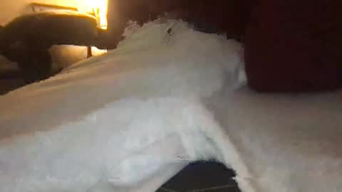 orvillewhitencocker online show from 03-23-26, 11:20