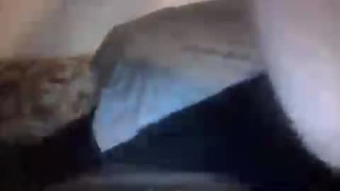 Snapshot of orvillewhitencocker chatting on 07-06-26, 04:31 orvillewhitencocker online show from 07-06-26, 04:31