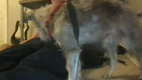 rossignol online show from 01-22-25, 04:44