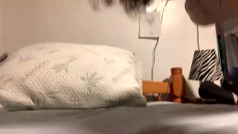 ozzy727 online show from 02-23-26, 02:53