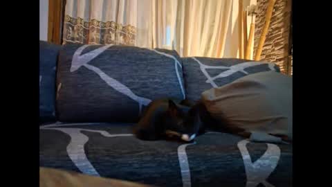 p326032 online show from 11-03-25, 08:54