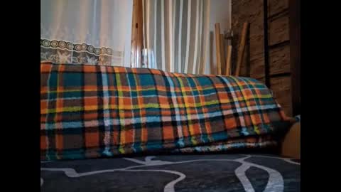 p326032 online show from 11-06-25, 09:37