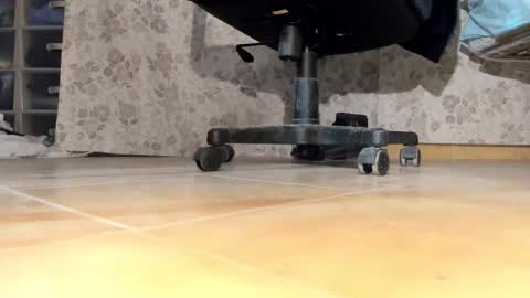 Pablo Meness online show from 12-17-25, 06:36