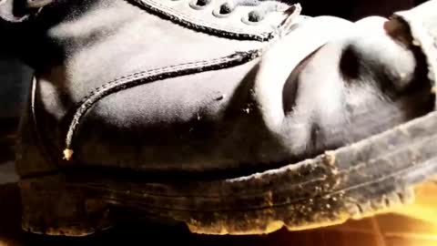 Pablo Meness online show from 01-31-26, 08:29