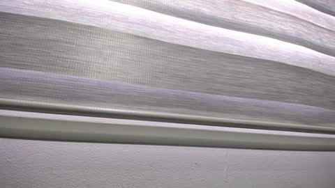 Palmer online show from 01-13-25, 12:24