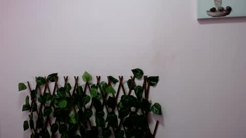 Pamela Claus online show from 01-30-25, 12:18