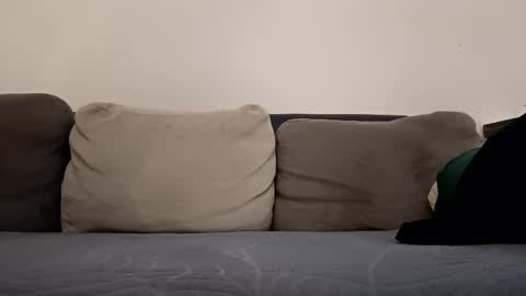 Snapshot of pamid215 chatting on 10-12-25, 03:33 angel hris online show from 10-12-25, 03:33