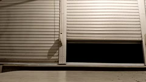 Snapshot of pamid215 chatting on 11-24-25, 06:18 angel hris online show from 11-24-25, 06:18