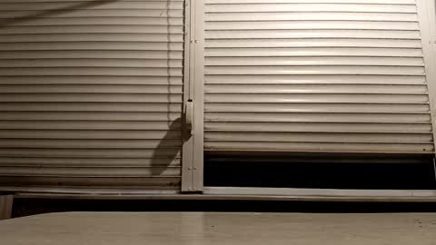 Snapshot of pamid215 chatting on 12-03-25, 05:11 angel hris online show from 12-03-25, 05:11