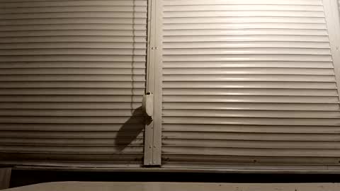 Snapshot of pamid215 chatting on 01-13-26, 06:46 angel hris online show from 01-13-26, 06:46