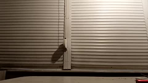 Snapshot of pamid215 chatting on 01-14-26, 04:45 angel hris online show from 01-14-26, 04:45