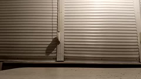 Snapshot of pamid215 chatting on 02-04-26, 05:08 angel hris online show from 02-04-26, 05:08