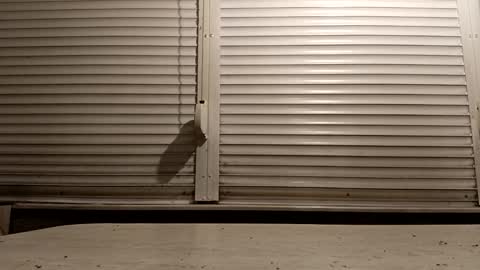 Snapshot of pamid215 chatting on 02-06-26, 04:54 angel hris online show from 02-06-26, 04:54