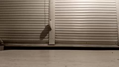 Snapshot of pamid215 chatting on 02-25-26, 04:27 angel hris online show from 02-25-26, 04:27