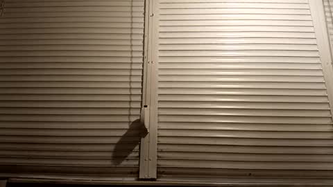 Snapshot of pamid215 chatting on 03-05-26, 07:10 angel hris online show from 03-05-26, 07:10