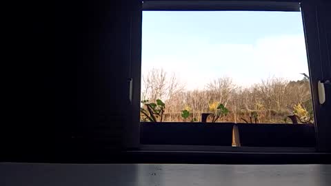 Snapshot of pamid215 chatting on 04-03-26, 03:43 angel hris online show from 04-03-26, 03:43