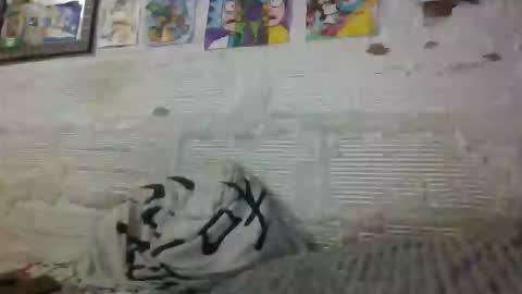 panthers_room online show from 11-26-25, 08:43