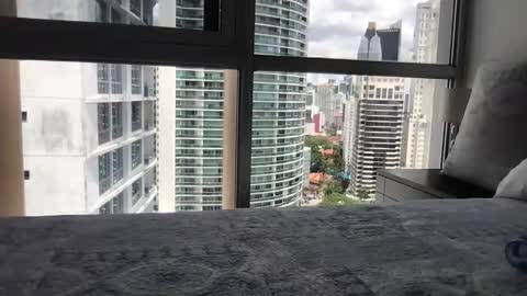 Snapshot of paradise_bird01 chatting on 03-15-26, 05:30 Paradise Bird01 online show from 03-15-26, 05:30