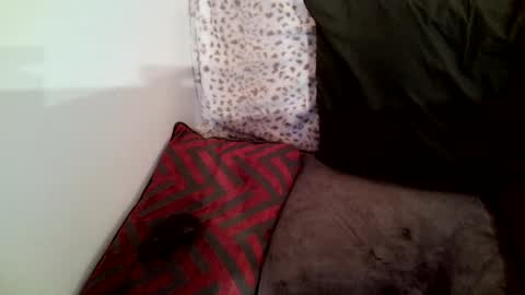 Snapshot of parlay0028 chatting on 01-29-25, 02:30 Parlay tellio online show from 01-29-25, 02:30