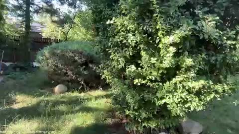 Andreea online show from 07-07-26, 05:43