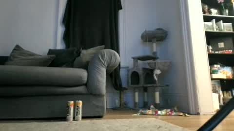 shy online show from 04-12-26, 07:46