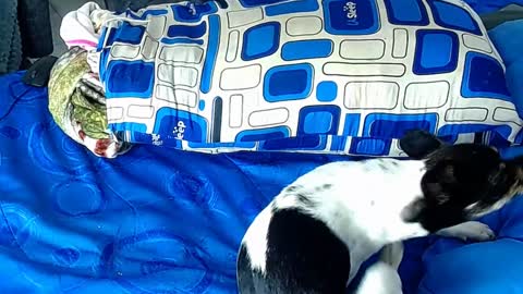 Snapshot of paula_willss chatting on 01-06-25, 12:35 paula_willss online show from 01-06-25, 12:35