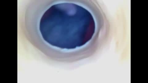 Paula 18 Aninhos online show from 07-21-26, 06:54