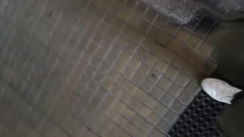 Snapshot of paulobascet chatting on 01-11-25, 10:08 paulobascet online show from 01-11-25, 10:08