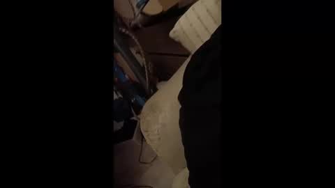 Snapshot of paulobascet chatting on 01-12-25, 03:28 paulobascet online show from 01-12-25, 03:28