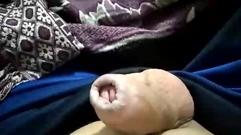 carlosjdo online show from 10-29-25, 03:09