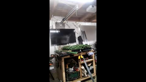 Snapshot of pawelniceguy chatting on 01-19-26, 02:26 pawelniceguy online show from 01-19-26, 02:26