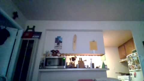 Snapshot of pawgkiller chatting on 10-11-25, 05:00 pawgkiller online show from 10-11-25, 05:00