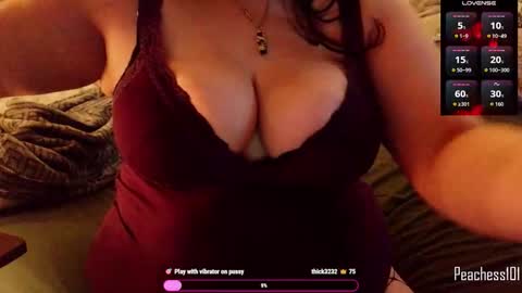 Snapshot of peachess101 chatting on 02-02-26, 03:33 Peachess online show from 02-02-26, 03:33