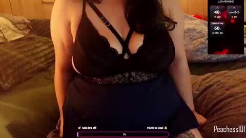 Snapshot of peachess101 chatting on 02-12-26, 01:44 Peachess online show from 02-12-26, 01:44