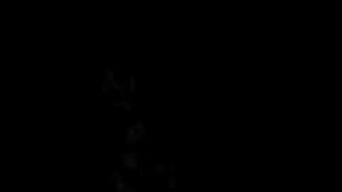 Alex online show from 02-18-25, 01:00