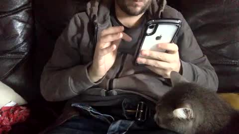 pedrotheamateur online show from 12-03-24, 12:38
