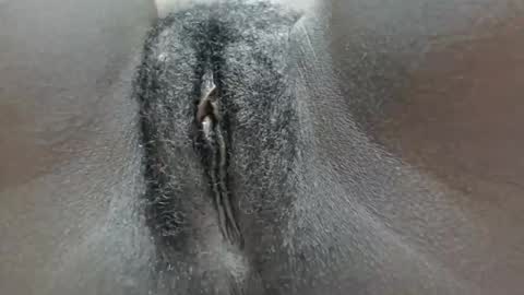 Snapshot of pennyna1 chatting on 10-05-25, 11:35 pennyna1 online show from 10-05-25, 11:35